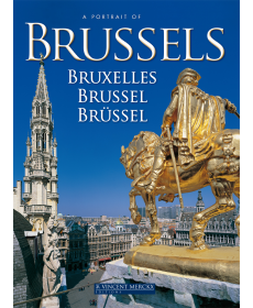 A Portrait of Brussels