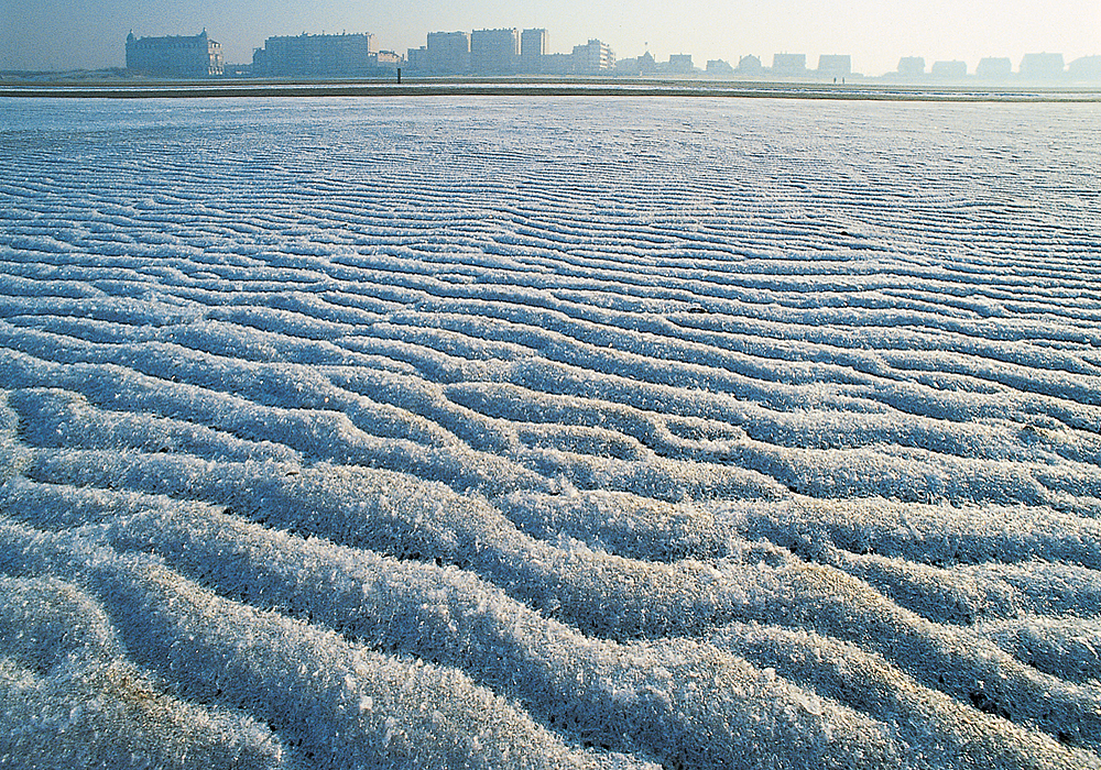 Zeebrugge