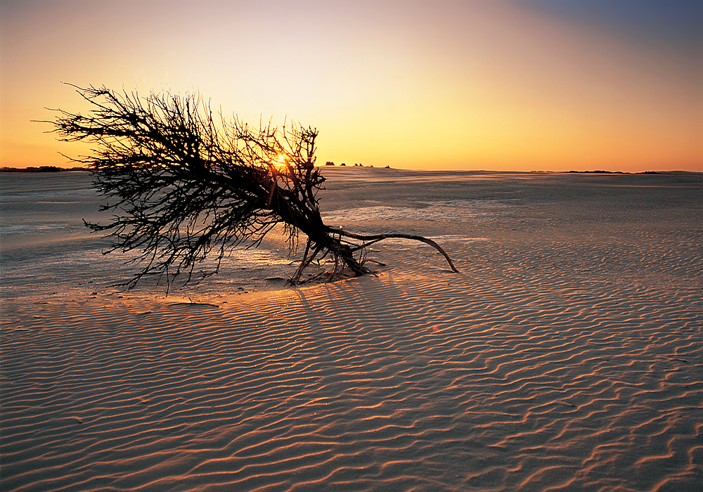 La Panne