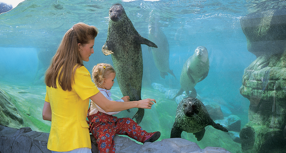 Blankenberge, "sea life centre"