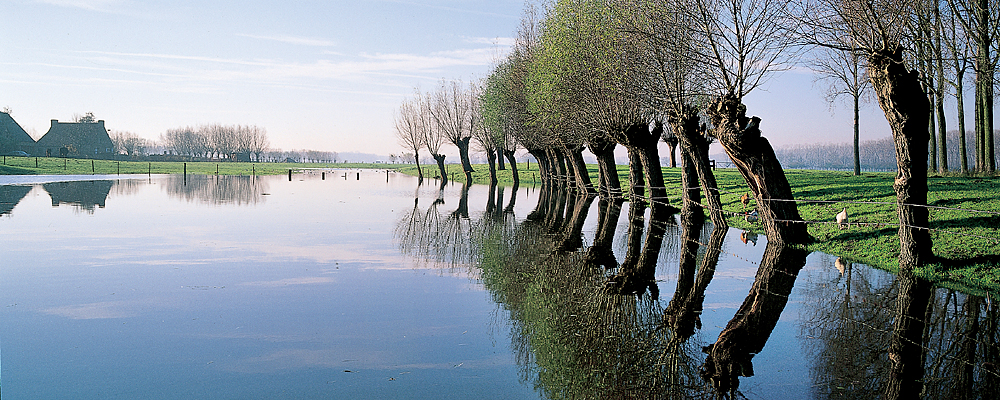 Les polders