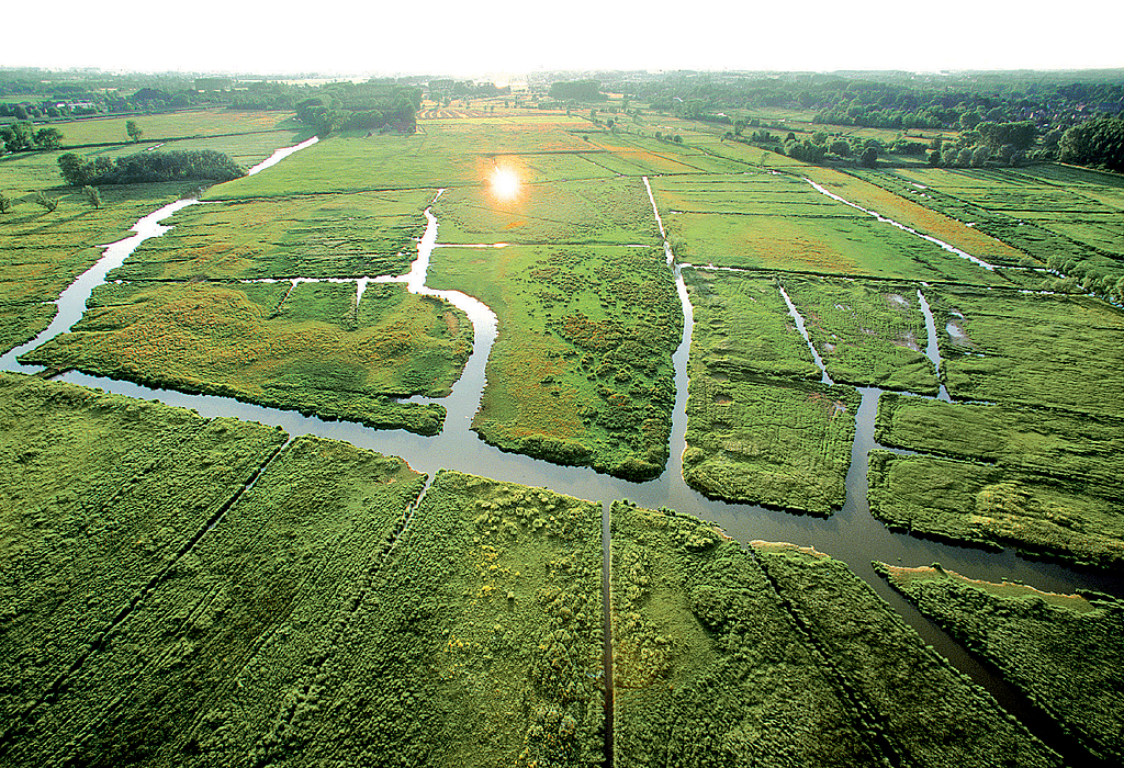 GAND, le marais de Bourgoyen