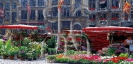 BRUSSELS, the flower market on the main square