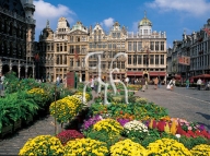 BRUSSEL, Grote Markt