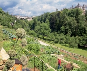 Luxembourg ville, la vallée de la Pétrusse et ses potagers en terras...