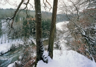 Luxembourg city, forest near &quot;Gantebeensmillen&quot;