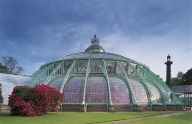 BRUXELLES, serres de Laeken