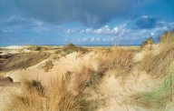 Koksijde, de Hoge Blekker