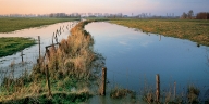 The polders